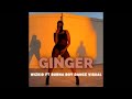 GINGER - WIZKID FT BURNA BOY  (Dance visual)