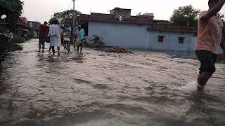 begusarai bihar rachiyahi kachari tol #patna #begusarai #shorts #trending #viral #public #water