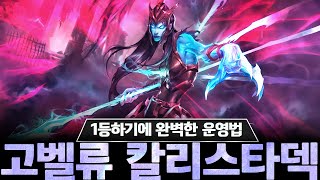 [롤체 TFT 강의] 오픈포트로 1등하는 가장 쉬운 방법. 두가지 덱을 동시에 보는 최고의 덱! 칼리스타 고밸류!