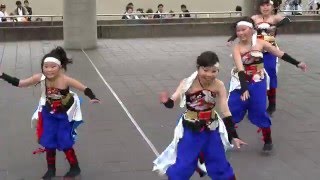 さんきっずぷらす 『日光翔龍-華厳の北斗（ほし）』（1st）／YOSAKOIフェスタ in 桜川2016