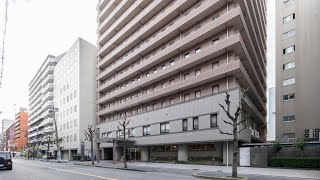 Sunny Stone Hotel, Osaka, Japan