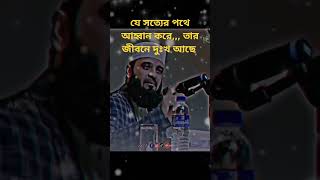 প্রিয় শায়েখ মিজানুর রহমান আজহারী