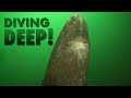 Diving WAY too deep! | DIVE STORIES