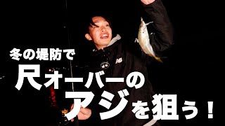 【アジ釣り】冬の堤防で尺オーバーのアジを狙う！仕掛けから釣り方まで解説！