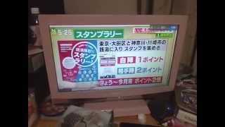 葉ボタンの出荷始まる:山内あゆ:門松にも飾られるとか: