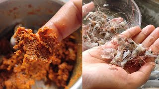 Chingri Macher Matha Bata | Shrimp Head Mashed | Village Food Recipe