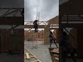 the super “helpful” new guy pt3 construction framing hardwork diy framinglife