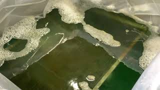 DIY Cell Soak 2000 Demonstration - How to Clean Electrostatic Precipitators Yourself