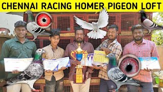 Chennai Racing Homer Pigeon Loft | Racing Champion Madhavaram Yuvraj | தமிழில் | Fancy Birds Chennai