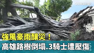 強風豪雨釀災！高雄路樹倒塌　3騎士行經遭壓傷｜華視新聞 20230729