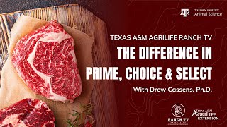 What are the differences between Prime, Choice and Select Steaks?