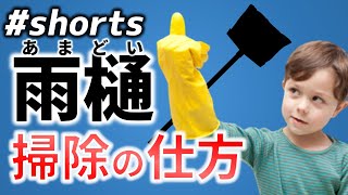 カーポートの雨樋の掃除方法【#Shorts​】