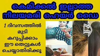 ഇനി ഒരിക്കലും മുടി നരക്കില്ല ഡൈ ഉപയോഗിക്കുമ്പോൾ ഈ തെറ്റുകൾ ചെയ്യാതിരിക്കുക Indigo Hair Dye Malayalam