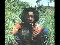 Peter Tosh - Legalize It *HQ Audio*