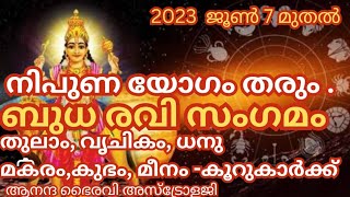 ബുധ രവി സംഗമം തരും വിദ്യയും ധനവും തുലാം മുതൽ മീനം വരെയുള്ള കൂറുകരുടെ  ഫലങ്ങൾ @anandabhairavi5939