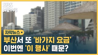 자릿세 80만 원에 예약 취소도…부산 또 '바가지' 기승 (자막뉴스) / SBS