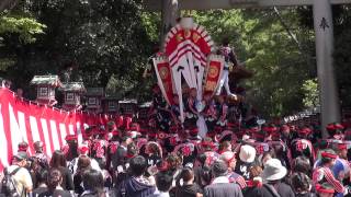 平成26年9月14日　春木地区祭礼(本宮)　弥栄神社宮入(春木南・若松町・松風町・磯之上町・旭町・中町・大小路町・本町・戎町・宮川町・八幡町・大道町・宮本町)