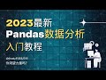 2023最新 2小时Pandas数据分析入门教程 Shady的混乱空间 #python #pandas  #数据分析 #ai #数据挖掘