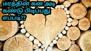 மரத்தின் கன அடி கண்டு பிடிப்பது எப்படி?? | Part - 1 | Er Arun Kumar