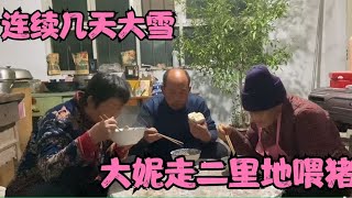 连续几天大雪，大妮和常输走二里地猪场喂猪，夫妻同心黄土变成金