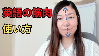 英語と日本語の筋肉の使い方