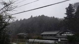 ウェザーリポート動画0316＠奈良県宇陀市07:55【吹雪いています（ここら辺基準）】