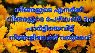 ✨🧿♦️നിങ്ങളുടെ എനർജി.. നിങ്ങളുടെ person നിങ്ങളിലേക്ക് തിരികെ വരുമോ#tarotreading #tarot #viralvideos