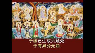 《缘起经》风柯月渚 标清 净空法师，弥勒，弥赛亚，mashiah,messiah,结缘助捐功德金链接https://www.paypal.me/wuchangdong