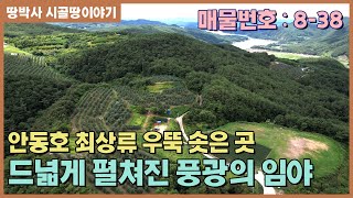 (매물번호 8-38)  안동호 최상류 우뚝 솟은 곳에 볕이 잘 들고 주변 풍광이 좋은 명당 토지.