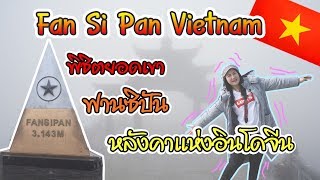 ยอดเขาฟานซิปัน หลังคาแห่งอินโดจีน  Fan Si Pan Vietnam