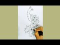 How to Draw a Beautiful Peacock By Neervaan