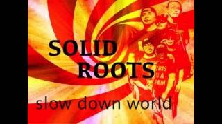 Slow Down World Solid Roots