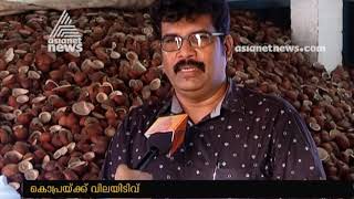 Low rubber price compels Kerala coconut kernel farmers in crisis