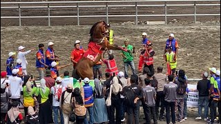 Race ke-2 Hari ke-2 Kuda Pacu PON Aceh 2024