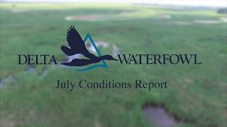 Delta Waterfowl July Conditions Report