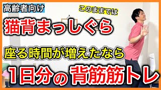 頸椎、胸椎、腰椎の上から下まで背筋を鍛えていつまでも良い姿勢を維持するための背筋トレーニング詰め合わせ