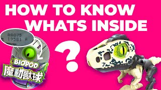 How to know whats inside your BIO POD egg ?