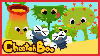 The Monster plants Song | Venus Flytrap Sundew | Nursery rhymes | Kids song | #Cheetahboo