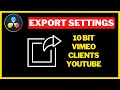 Best Export Settings For 10 Bit Footage And Vimeo In Davinci Resolve 18