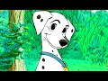 101 DALMATIANS Clip - "Pongo Meets Perdita" (1961) Disney