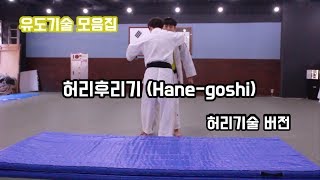 유도기술 메치기 허리기술 (Judo skill,waist skill, NAGE-WAZA  Koshi-waza)[흠이 HEUM]