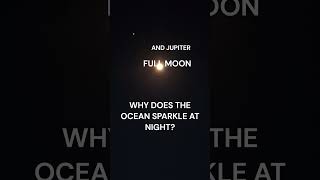 PACIFIC OCEAN SPARKLES AT MIDNIGHT @howtoaroundthehouse #beach #ocean #beautiful