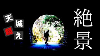 【天城山縦走】天城越えしようと思ったのに…ただの登山だった件|登山泊|日本百名山|キャンプ|伊豆|絶景|静岡