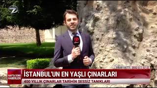 Asırlık çınarlar…