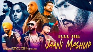 feelings The Jaani Mashup 2024 New B Praak X Ammy Virk X Sunanda Sharma DJ ADR King X Trending×music