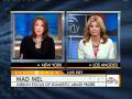 Mel Gibson's Legal Mess