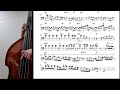 Day by day - Christian Mcbride Bass solo Transcription