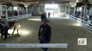 2024 Buffalo County Fair Junior Beef Show.  Aug 2