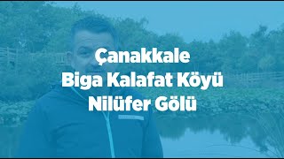 Doğaseverleri Çanakkale’nin Biga İlçesindeki Nilüfer Gölü’ne Davet Ediyoruz