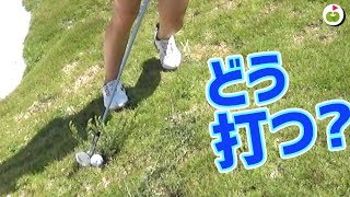 超難度！草の根元のボールはどう打つの？【じゅんりさ セブゴルフ！#3】